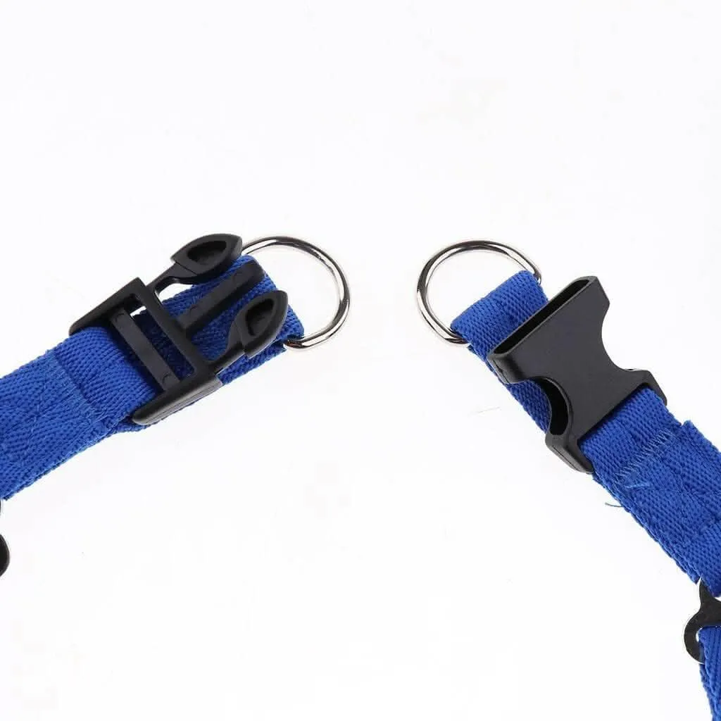 1 inch - Harness, Walking Rope and Collar belt Combo