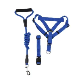 1 inch - Harness, Walking Rope and Collar belt Combo