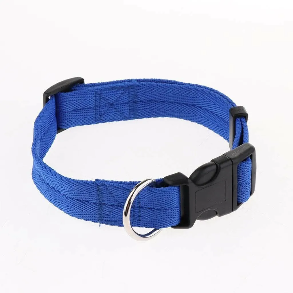 1 inch - Harness, Walking Rope and Collar belt Combo