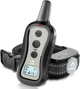 301 Dog Training Collar（Large Breed）