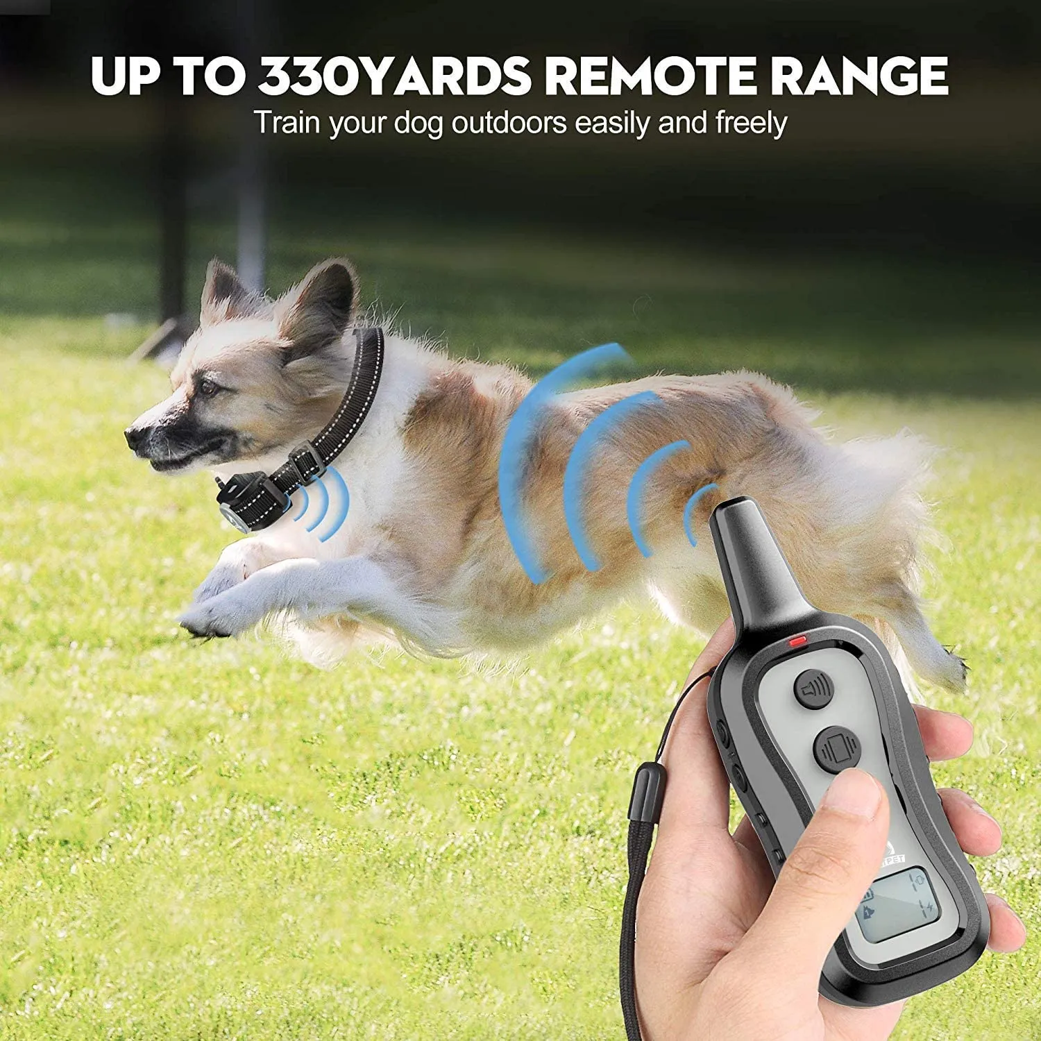 301 Dog Training Collar（Large Breed）