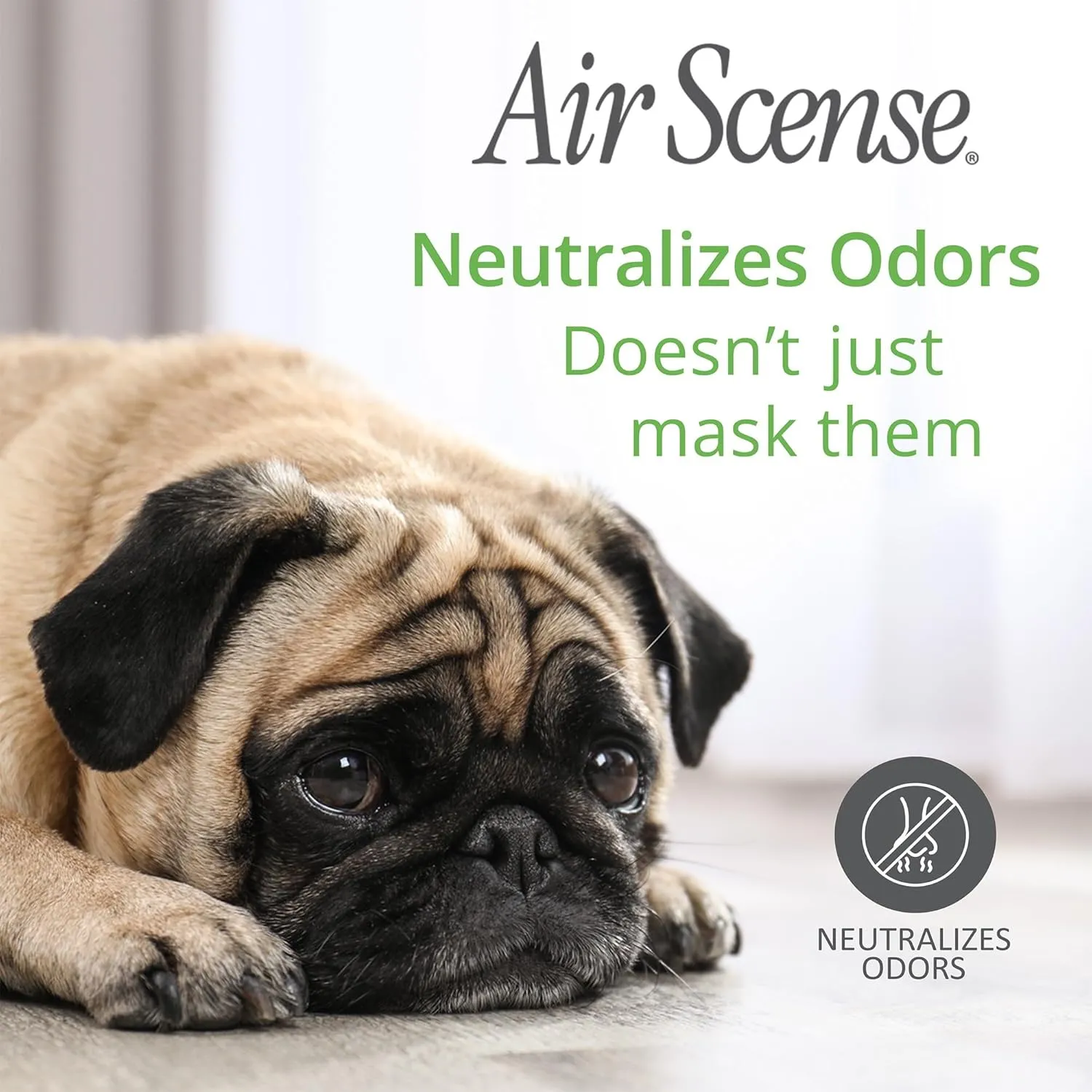 Air Scense Air Freshener Deodorizer Room Spray for Bathroom & Home, Essential Oils, Natural Orange - 7 fl oz (4-Pack)