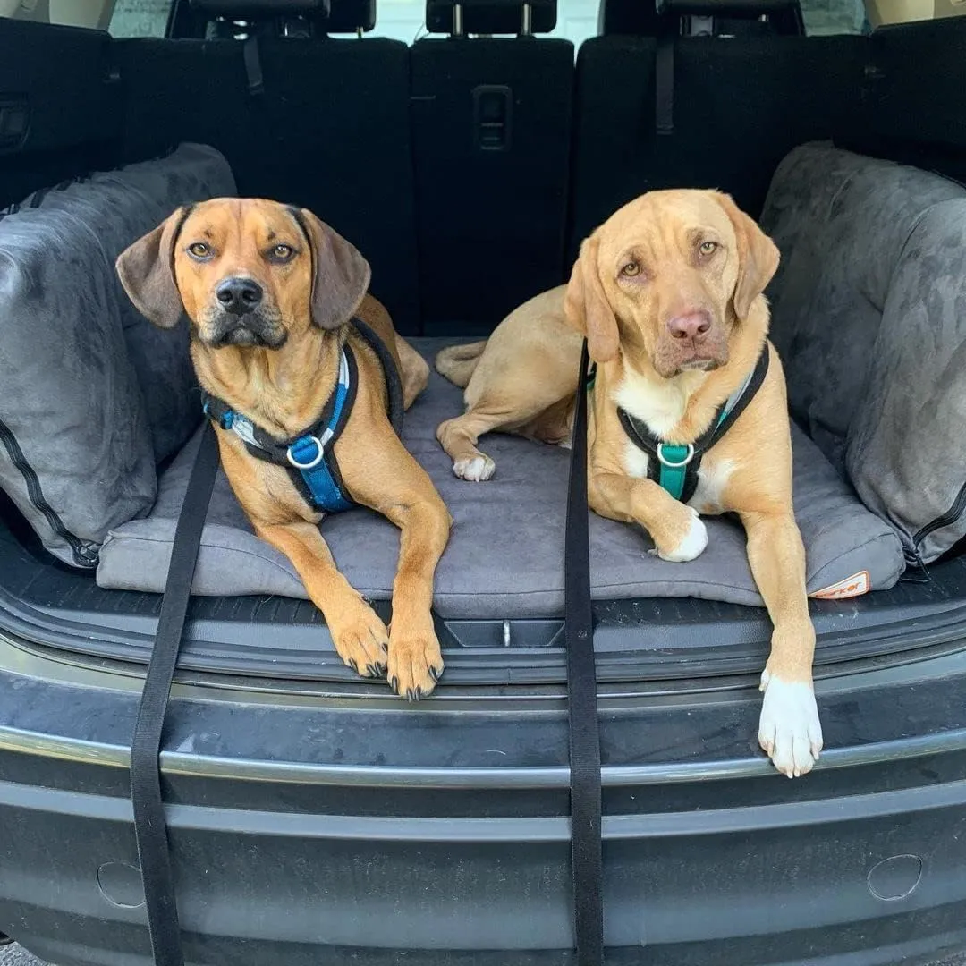 Barker Beds Orthopedic Dog SUV Bed (Large, Charcoal)  Memory Foam Travel Bed for Large Dogs  Machine-Washable Cover & Headrest  Vet-Recommended for Joint Support  Made in USA