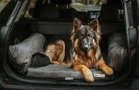 Barker Beds Orthopedic Dog SUV Bed (Large, Charcoal)  Memory Foam Travel Bed for Large Dogs  Machine-Washable Cover & Headrest  Vet-Recommended for Joint Support  Made in USA