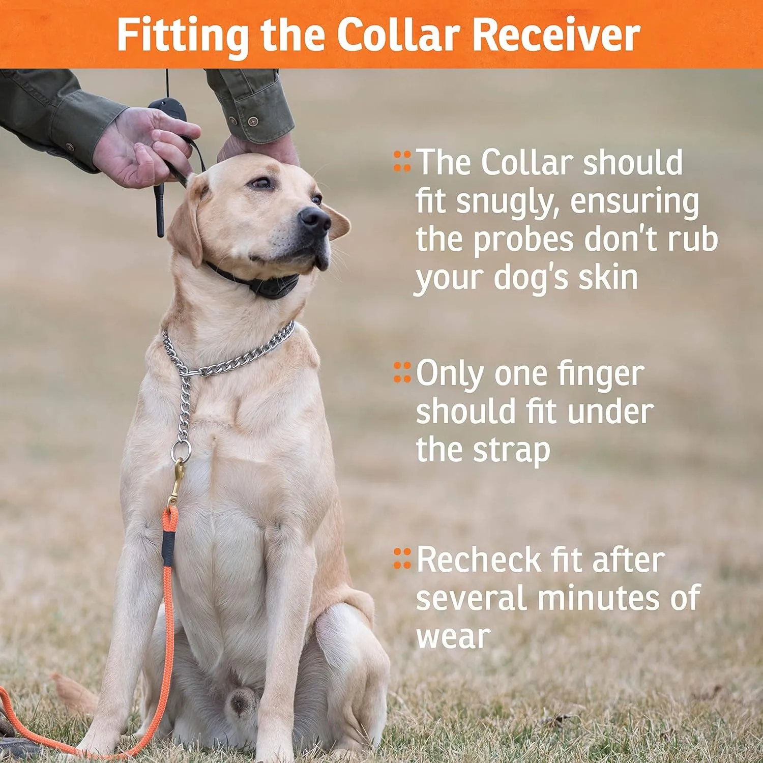 Brand Fieldtrainer 425X Remote Training Collar, E Collar for Dogs - Waterproof Dog Trainer, Submersible up to 25 Feet, Rechargeable Dog Training Collar with Remote Shock, Vibrate, and Tone