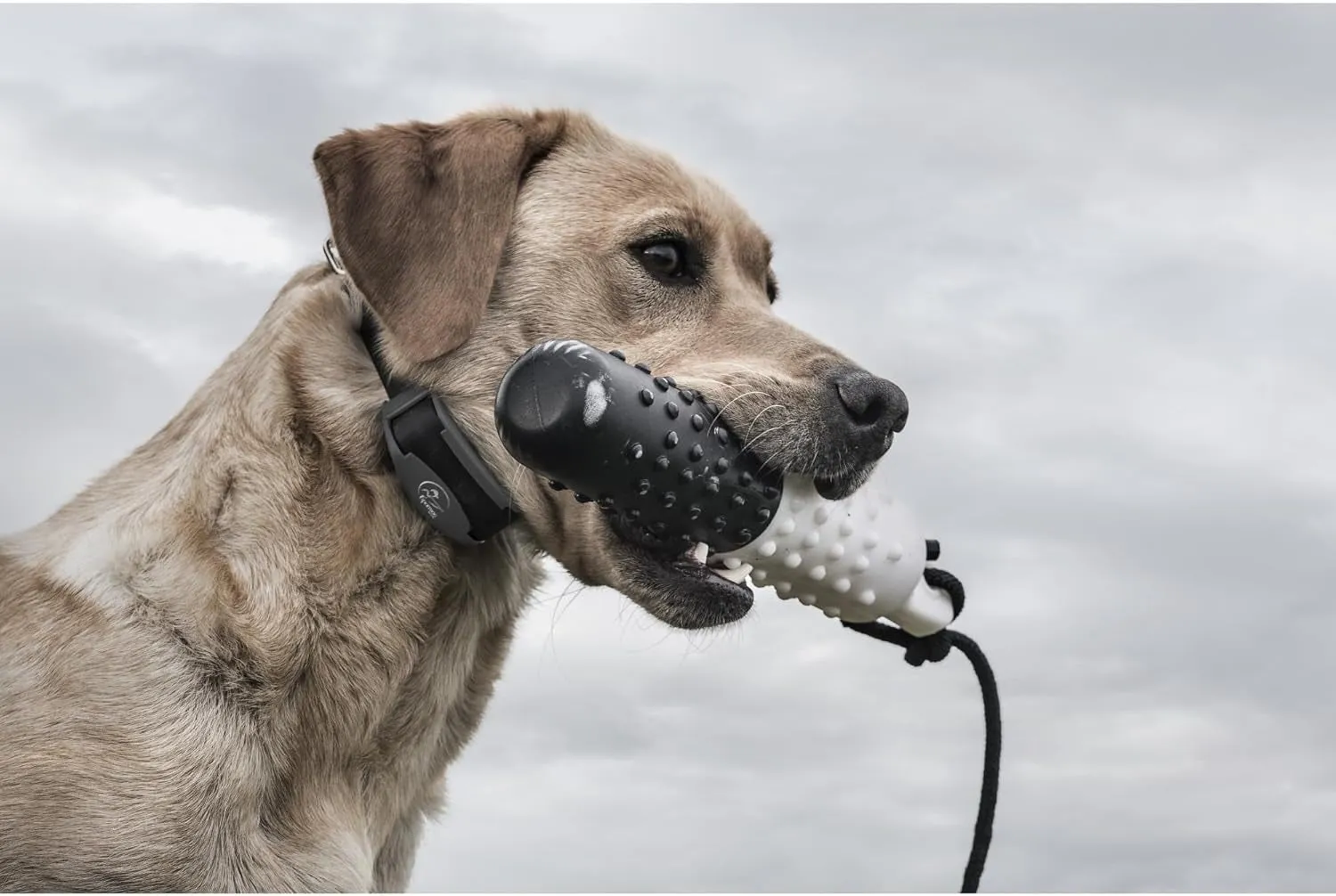 Brand Fieldtrainer 425X Remote Training Collar, E Collar for Dogs - Waterproof Dog Trainer, Submersible up to 25 Feet, Rechargeable Dog Training Collar with Remote Shock, Vibrate, and Tone