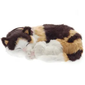Calico Cat Soft Bundle
