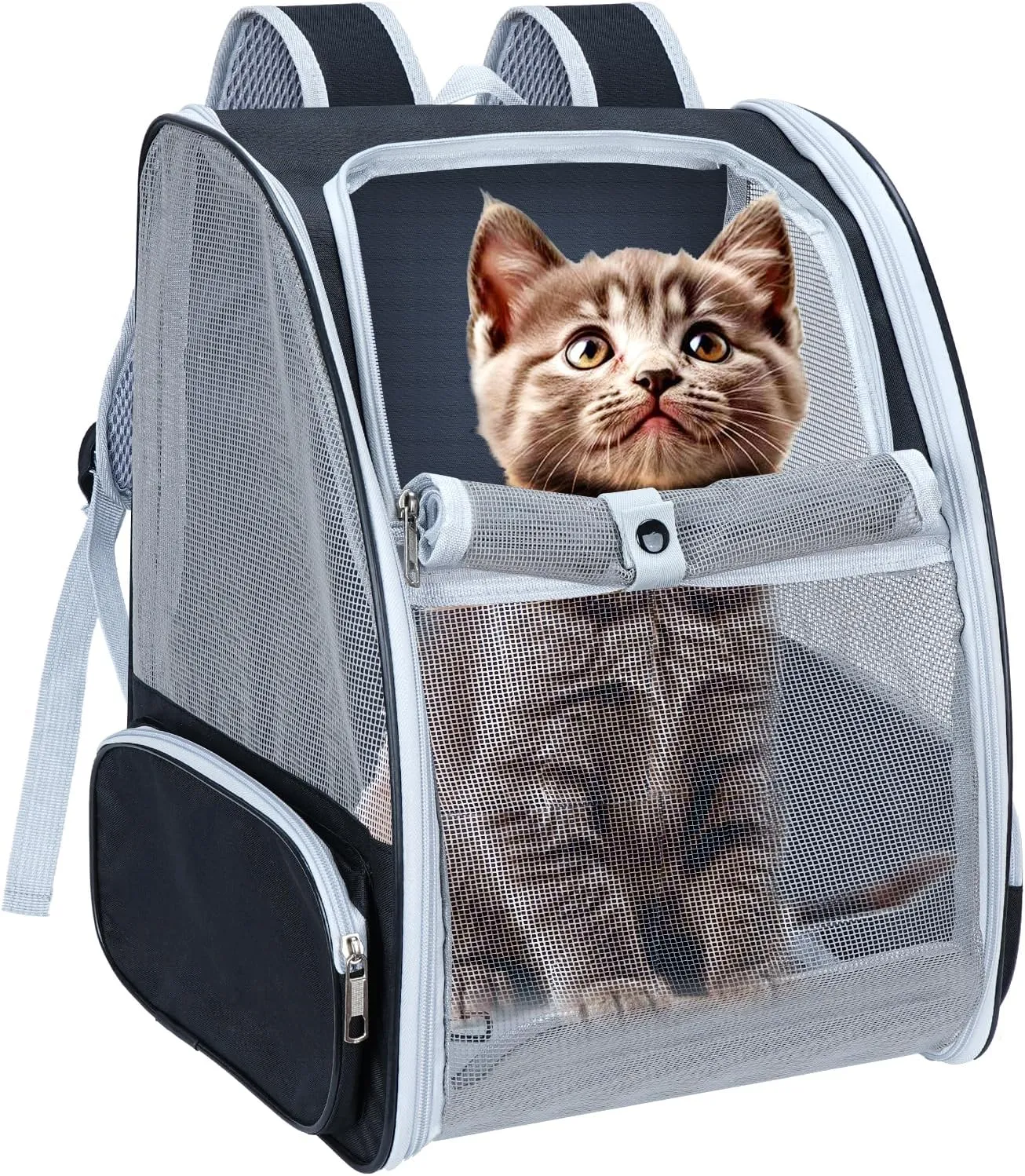 Cat Backpack Carrier, TSA Airline Approved Foldable Waterproof Cat Pet Backpack for Small Cats and Small Dogs with Bottom Support (Blcak)