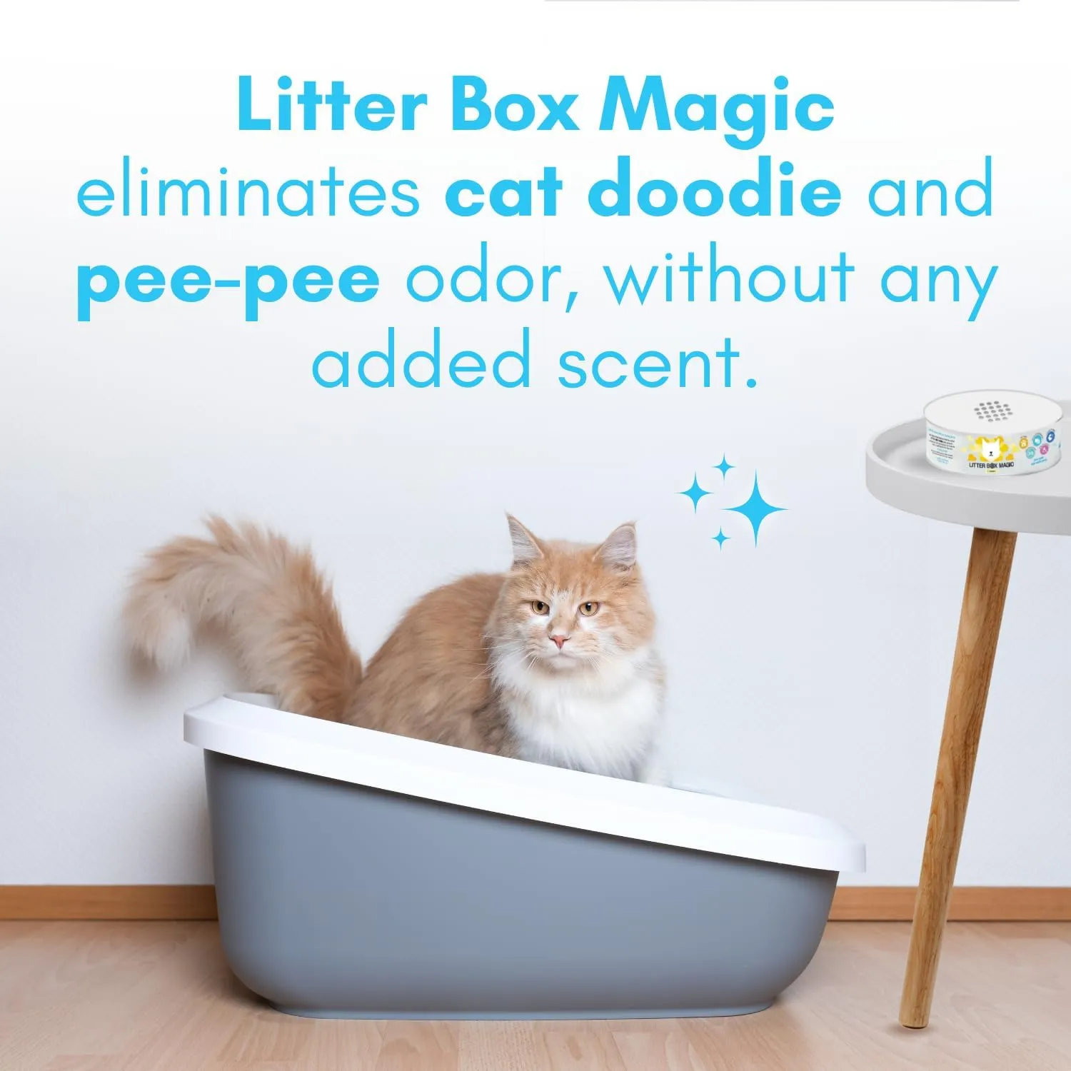 Cat Litter Deodorizer Jar (Fragrance Free, 16 Oz, Pack of 1) - Unscented Cat Litter Odor Control Gel - Cat Litter Box Pet Air Freshener - Litter Odor Eliminator to Freshen Air