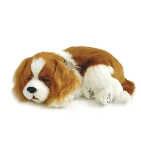 Cavalier King Charles Soft Bundle