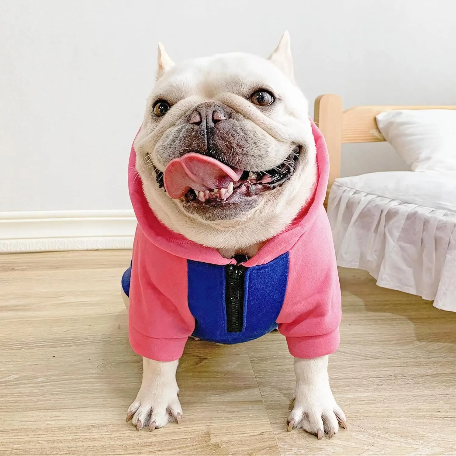 Dog Fleece Sweater Frenchie Clothes French Bulldog Sweater, Frenchie Dog Hoodie Sweatshirt Halloween Costume Winter Coat for Medium Dogs and Cats,Color Blocked,Pink,L