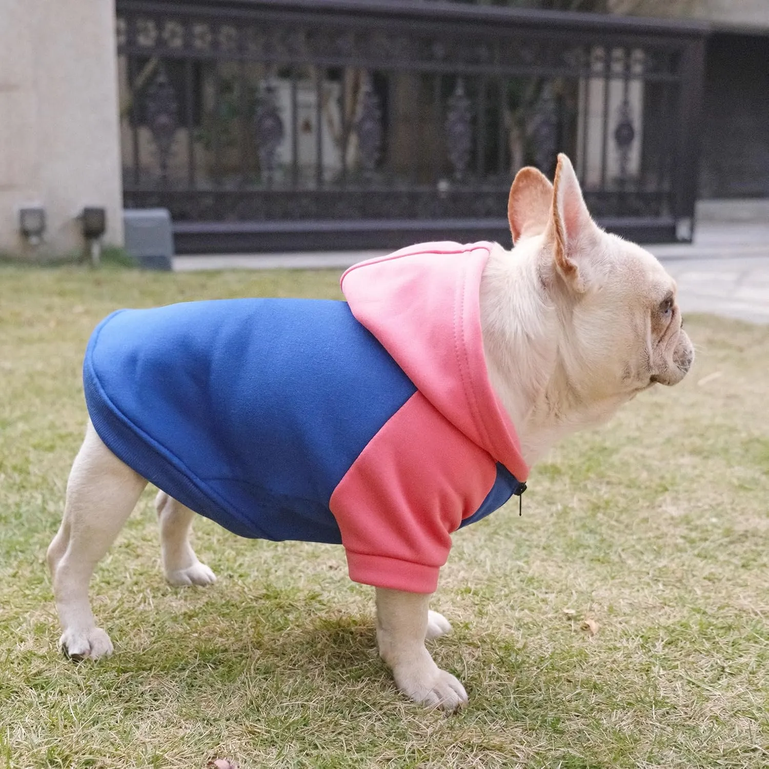Dog Fleece Sweater Frenchie Clothes French Bulldog Sweater, Frenchie Dog Hoodie Sweatshirt Halloween Costume Winter Coat for Medium Dogs and Cats,Color Blocked,Pink,L