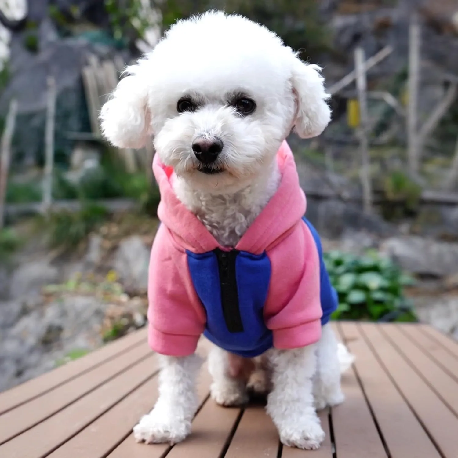 Dog Fleece Sweater Frenchie Clothes French Bulldog Sweater, Frenchie Dog Hoodie Sweatshirt Halloween Costume Winter Coat for Medium Dogs and Cats,Color Blocked,Pink,L