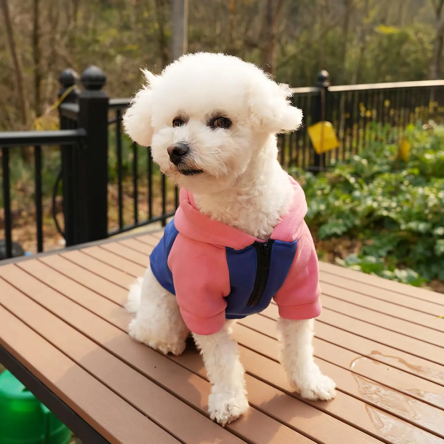 Dog Fleece Sweater Frenchie Clothes French Bulldog Sweater, Frenchie Dog Hoodie Sweatshirt Halloween Costume Winter Coat for Medium Dogs and Cats,Color Blocked,Pink,L