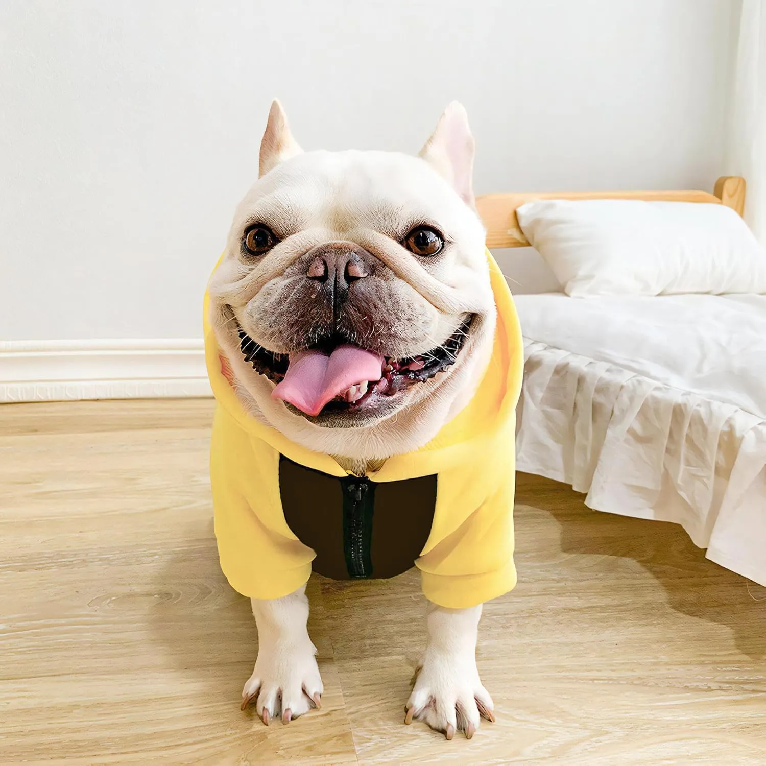 Dog Fleece Sweater Frenchie Clothes French Bulldog Sweater, Frenchie Dog Hoodie Sweatshirt Halloween Costume Winter Coat for Medium Dogs and Cats,Color Blocked,Yellow, L