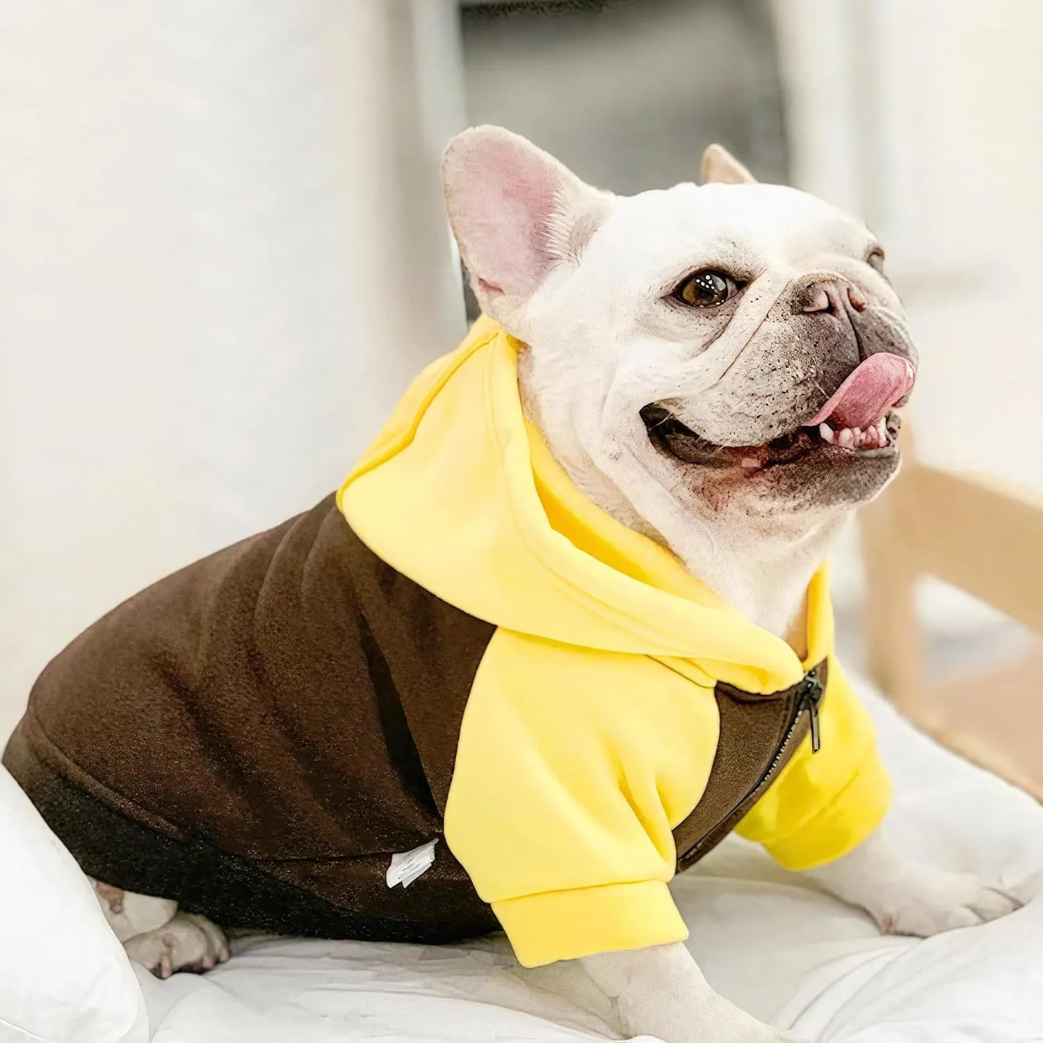 Dog Fleece Sweater Frenchie Clothes French Bulldog Sweater, Frenchie Dog Hoodie Sweatshirt Halloween Costume Winter Coat for Medium Dogs and Cats,Color Blocked,Yellow, L