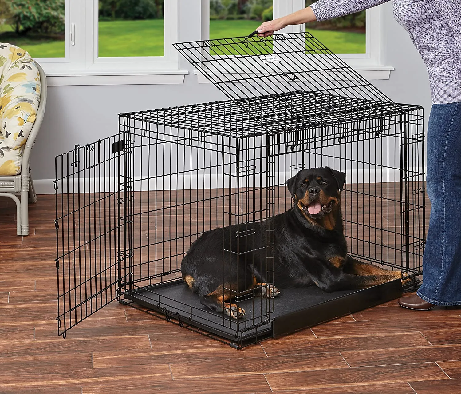 Folding Dog Crate - Ovation Double Door Crate with Up and Away Door