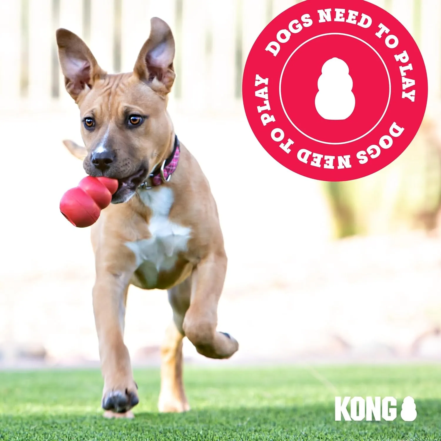 KONG Extreme Tires - KONG's Most Durable Natural Rubber Chew & Fetch Toy - Treat Dispenser Dog Tire Toy - Pet Supplies for Outdoor & Indoor Play - For Small Dogs
