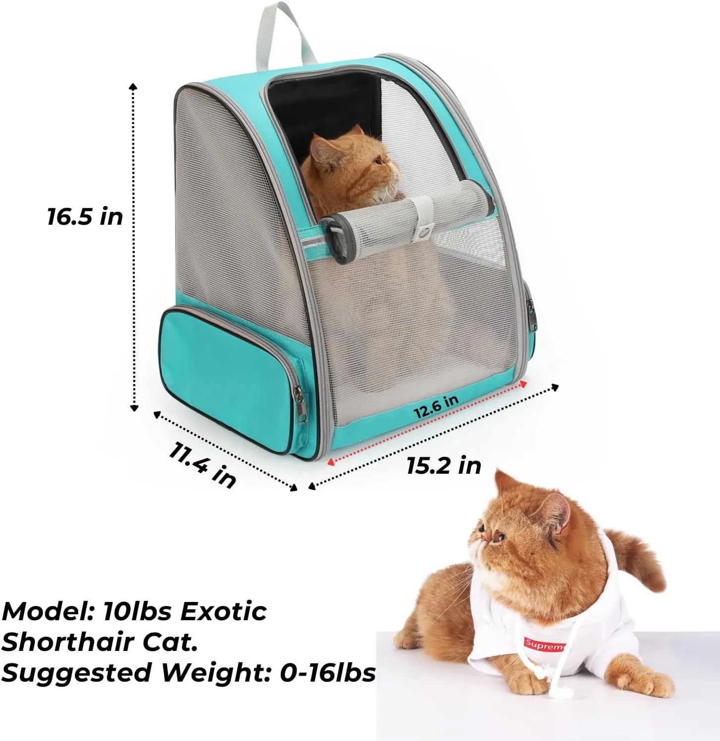 LOLLIMEOW Pet Carrier Backpack for Dogs and Cats,Puppies,Fully Ventilated Mesh,Airline Approved,Designed for Travel, Hiking, Walking & Outdoor Use (Mesh Green-M)