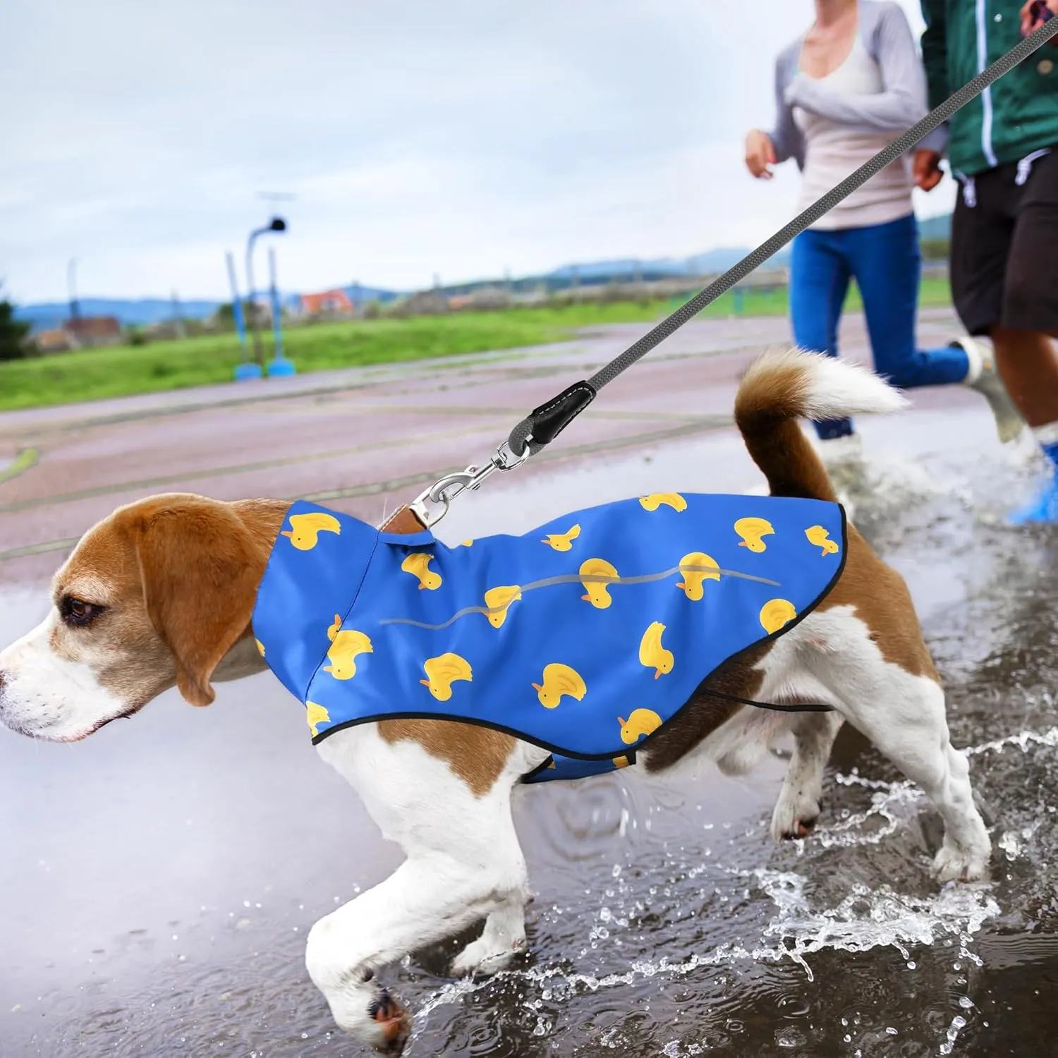 Mile High Life Dog Raincoat, Adjustable Waterproof Reflective Rain Jacket for Small Medium Large Dogs, Lightweight Breathable Pet Rain Coat with Leash Hole(Blue Duck,XXS Chest 16-19")
