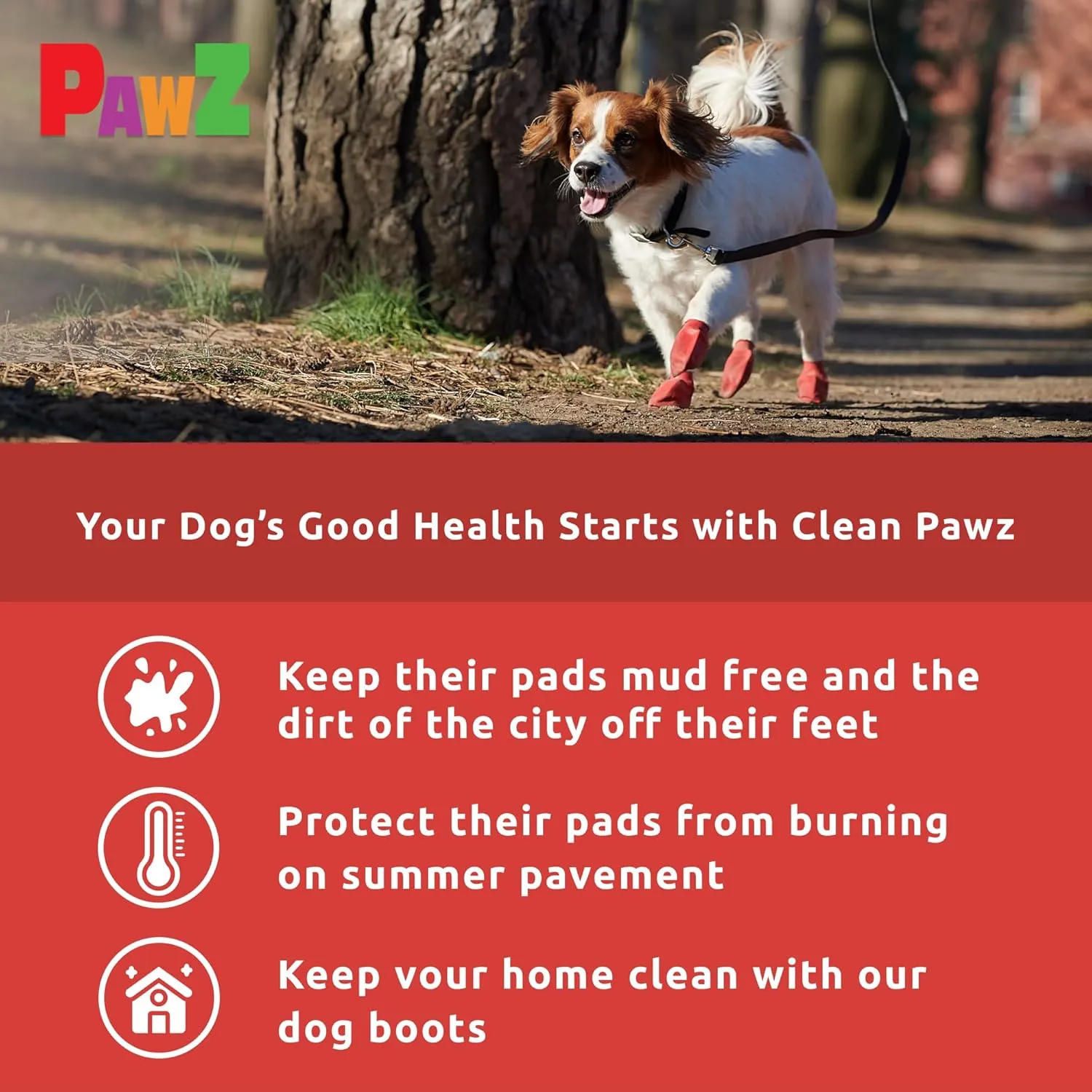 Protex PawZ Rubber Dog Boots for Small Paws, 24 Total (2 Packs of 12) - All-Weather, Anti-Slip, Waterproof Dog Socks - Black