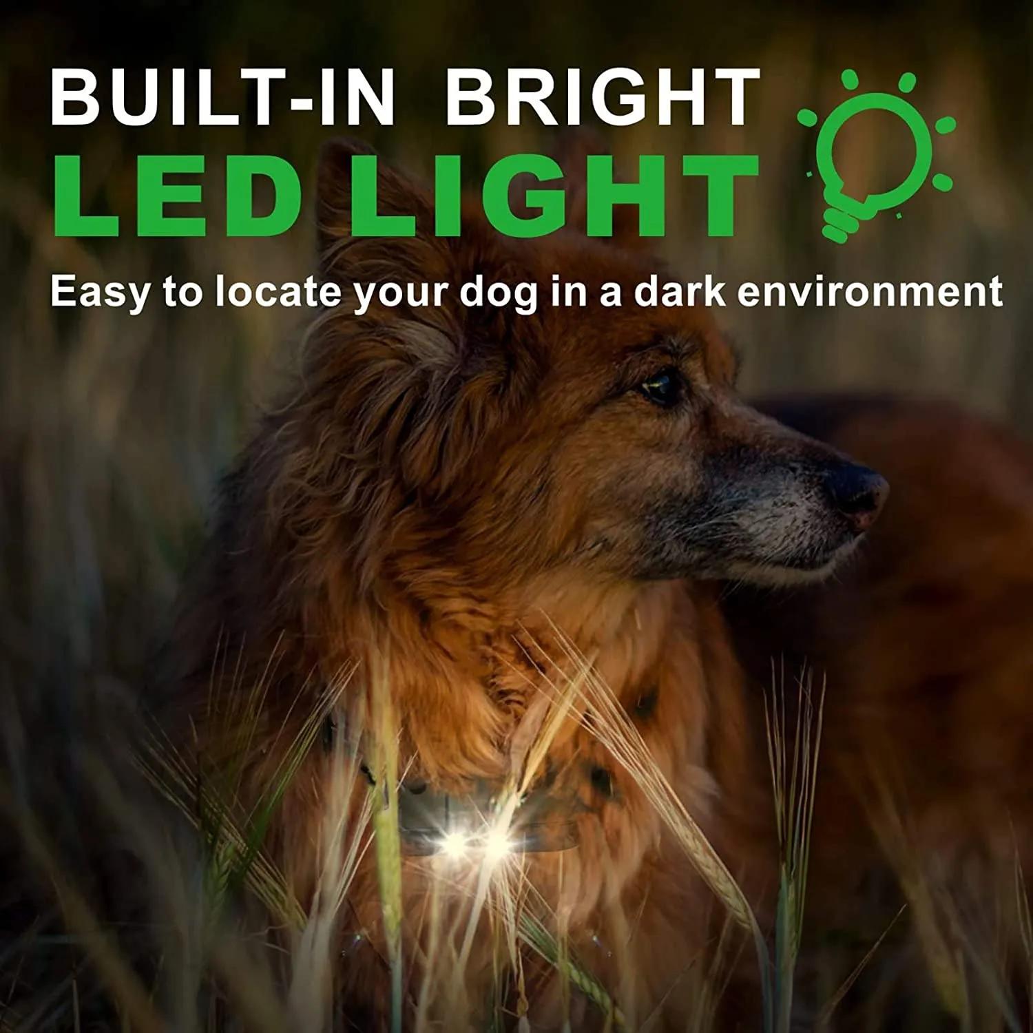 Rechargeable Anti Barking Training Collar