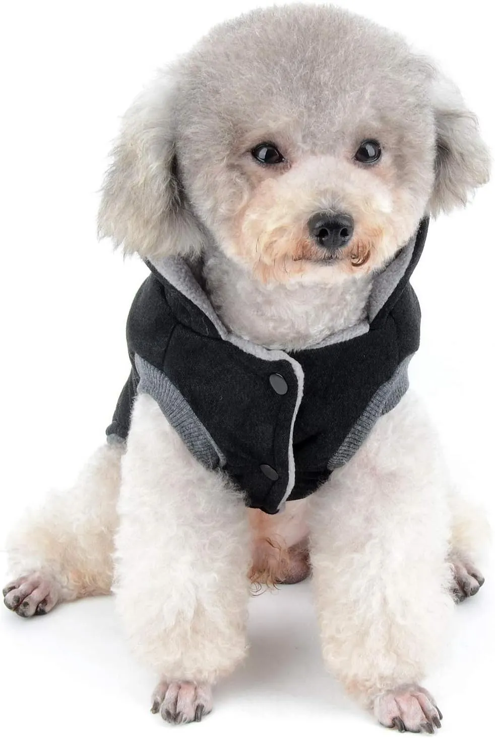 SELMAI Fleece Dog Hoodie Winter Coat for Small Boy Dog Cat Puppy Cotton Hooded Jacket Chihuahua Clothes Girl Boy Yorkie Pet Walking Outdoor Black M