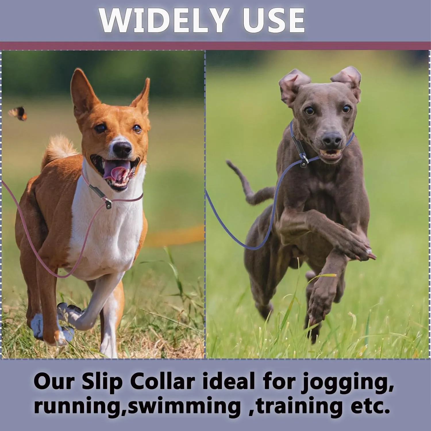 Slip Lead Dog Leash 6FT Red Dogs Leads Pet Slip Leash No Pull Waterproof PVC 1/4 Pets Leashes Easy Clean Material Round Lead for Small Medium Large Animals (red, 6ft * 1/4'')
