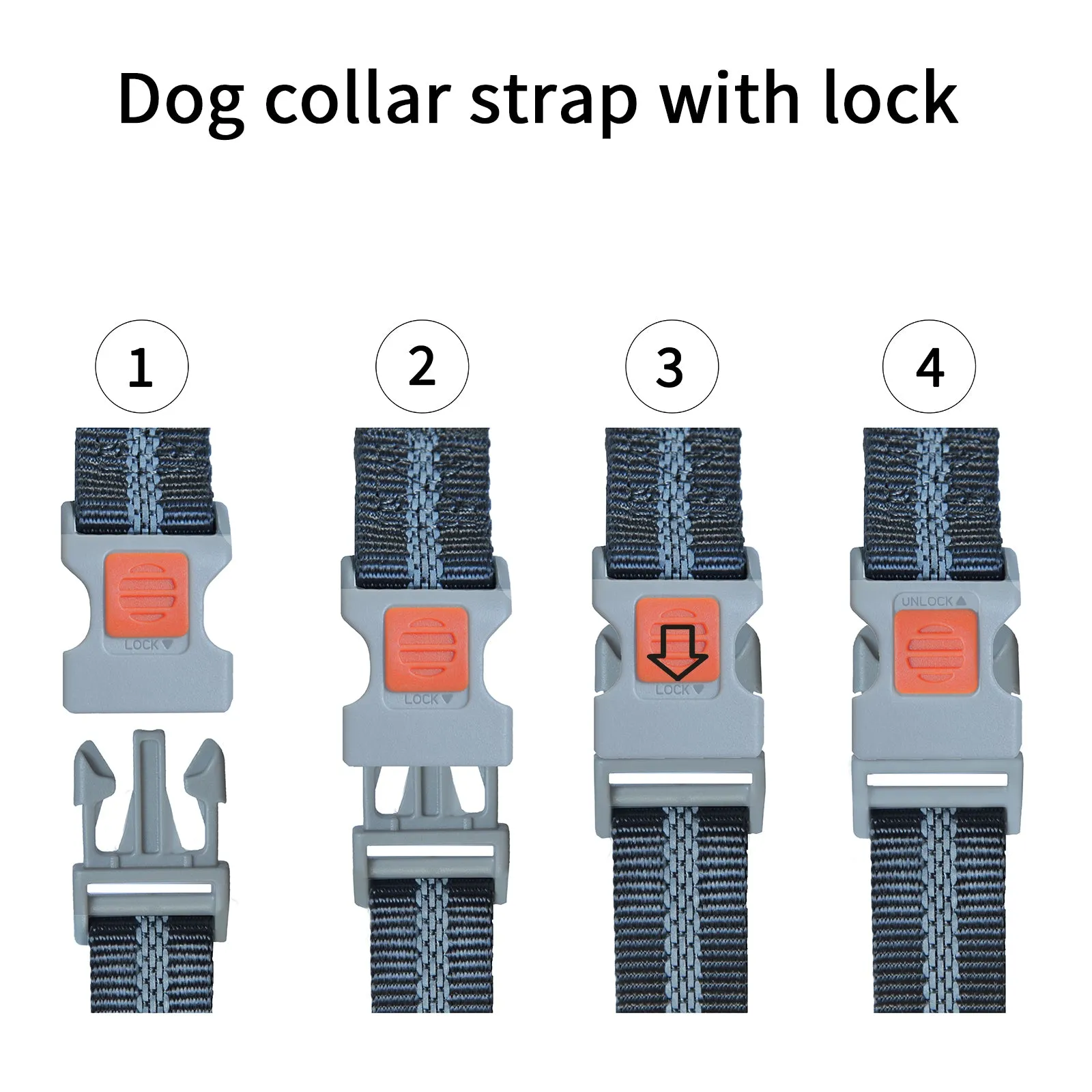 T11 Dog Training Collar