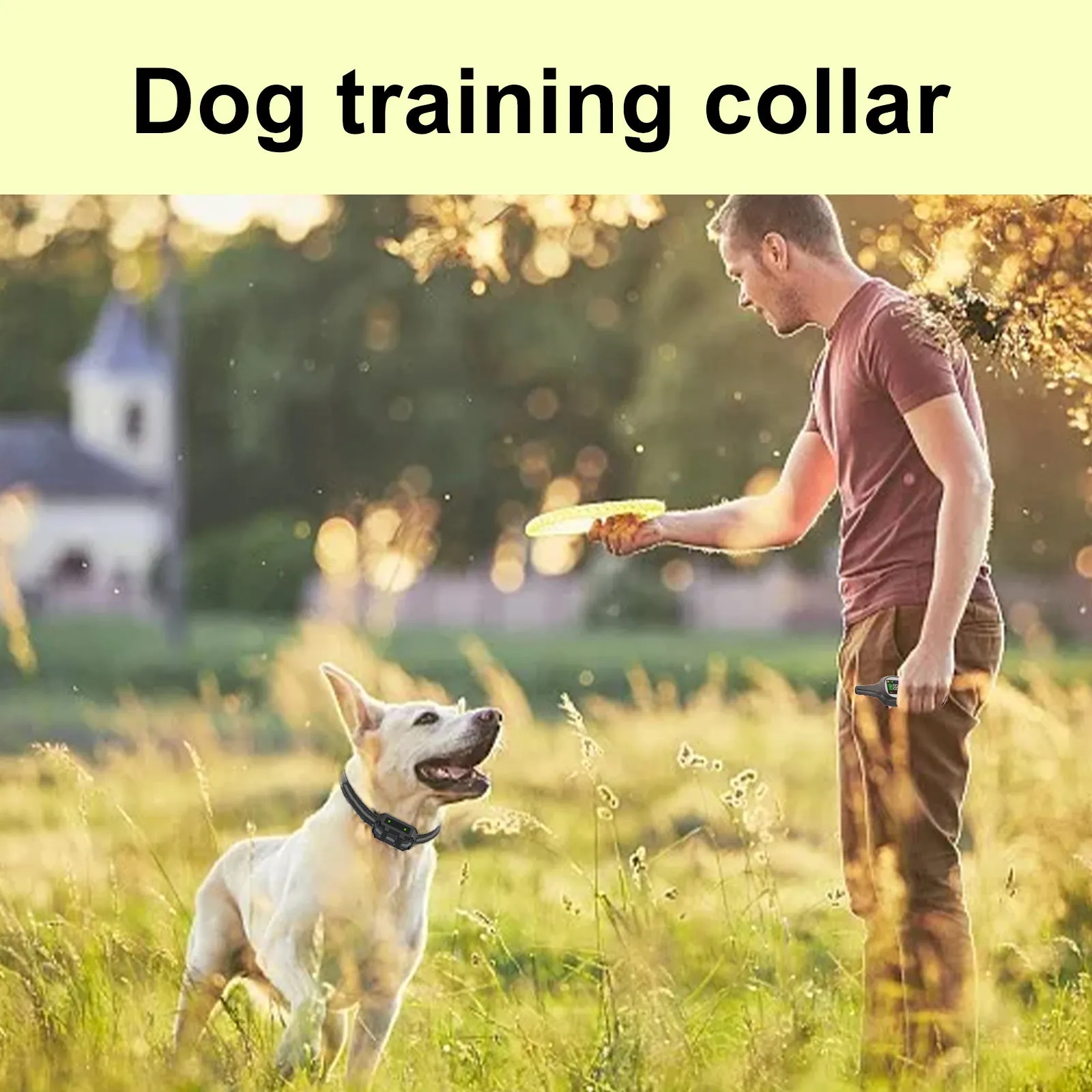 T11 Dog Training Collar