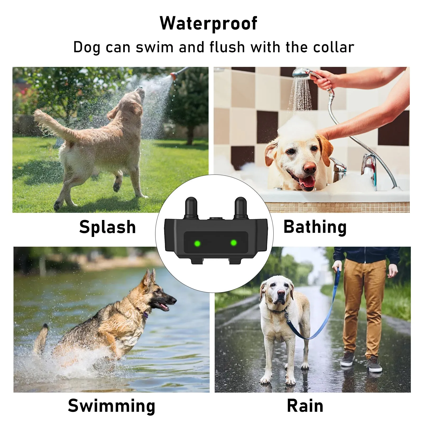 T11 Dog Training Collar