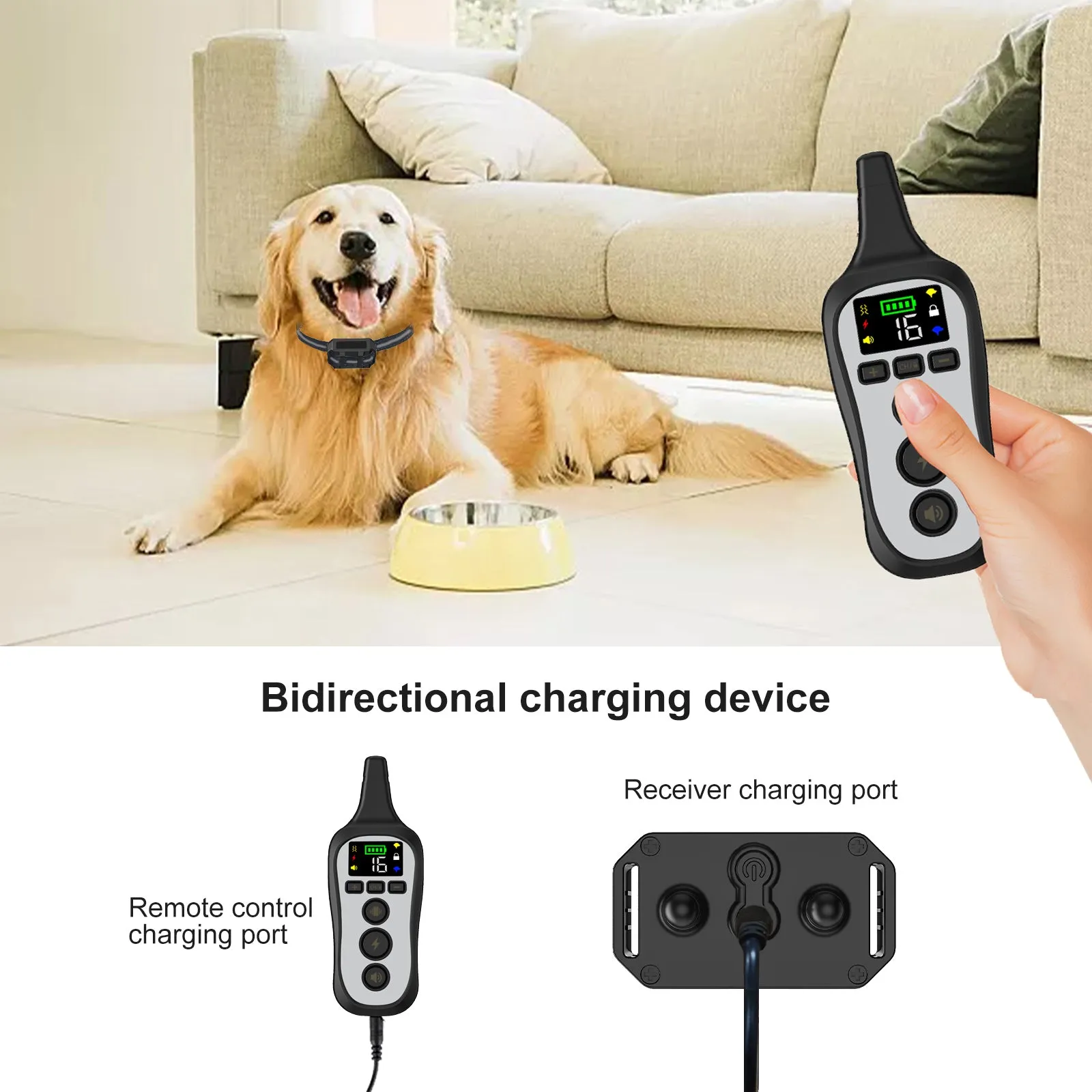 T11 Dog Training Collar