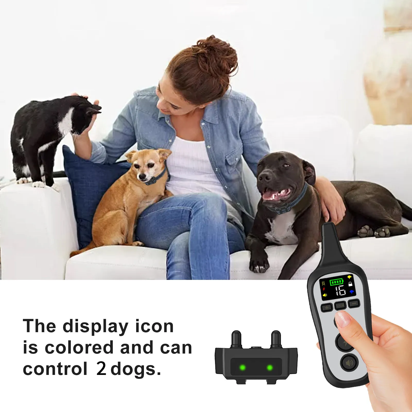 T11 Dog Training Collar