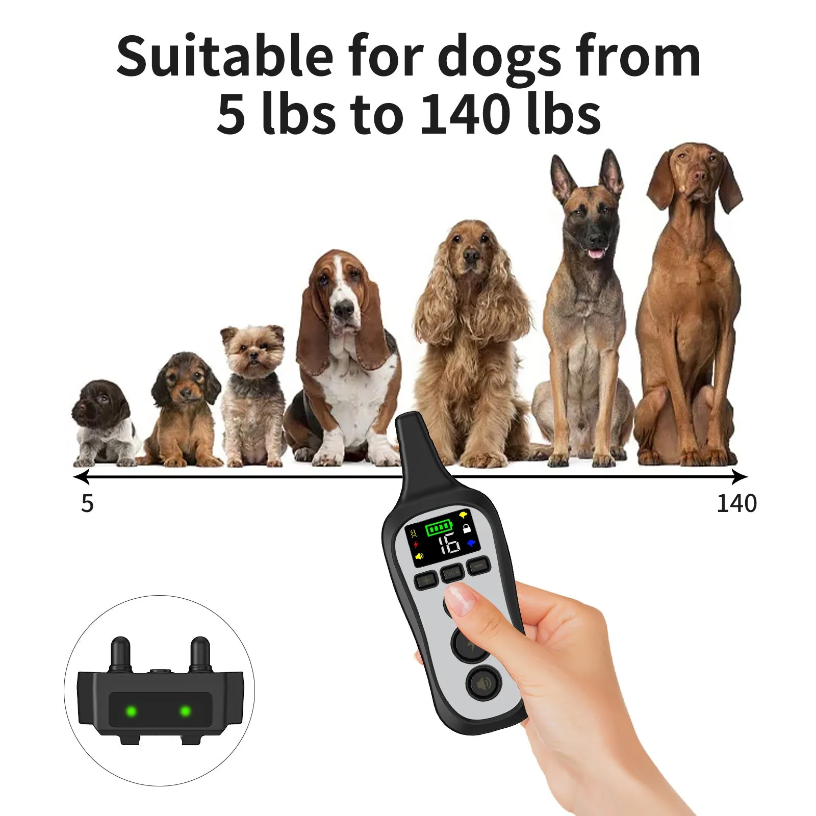 T11 Dog Training Collar