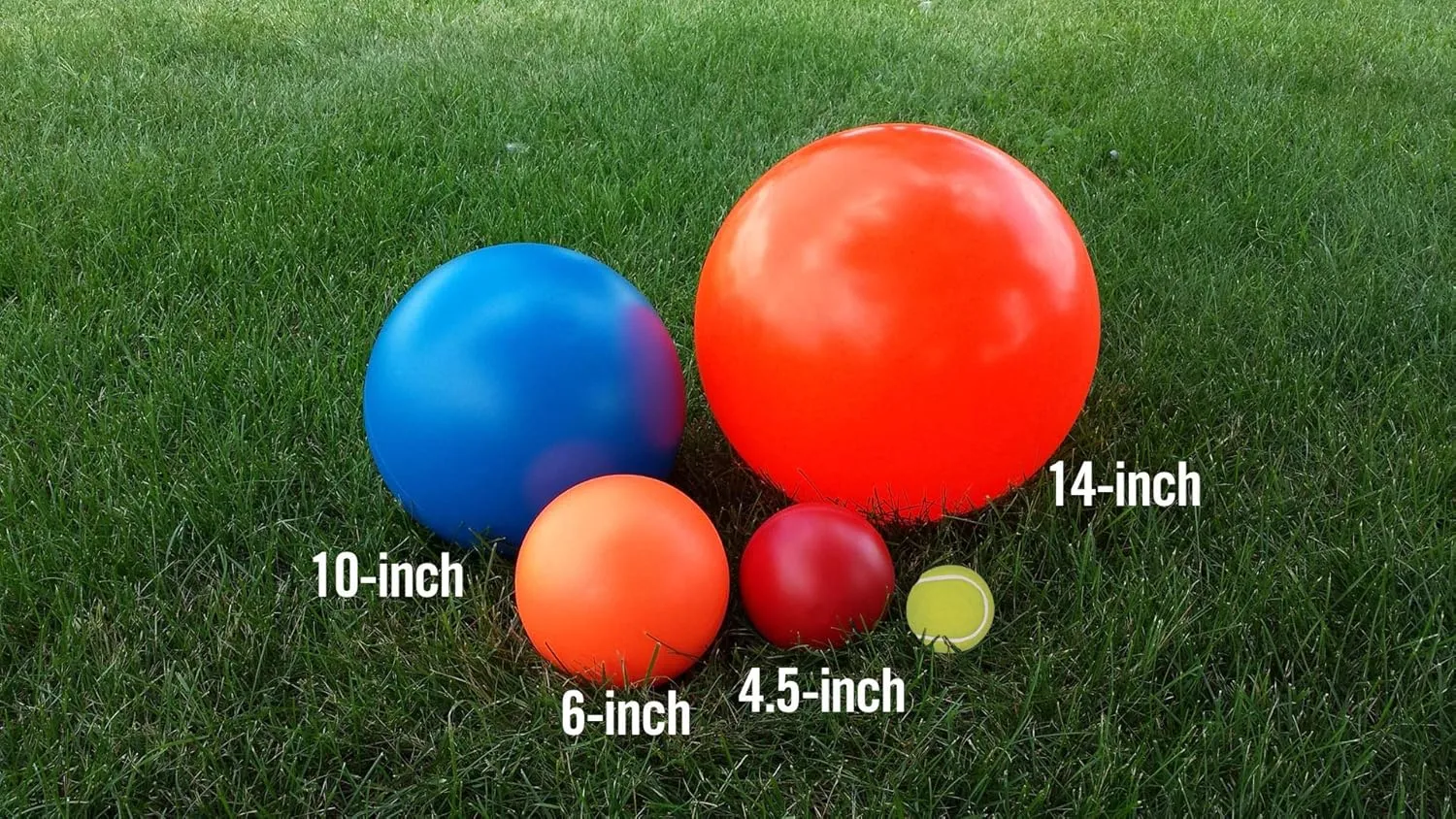 Virtually Indestructible Best Ball for Dogs, 6-inch,Colors May Vary