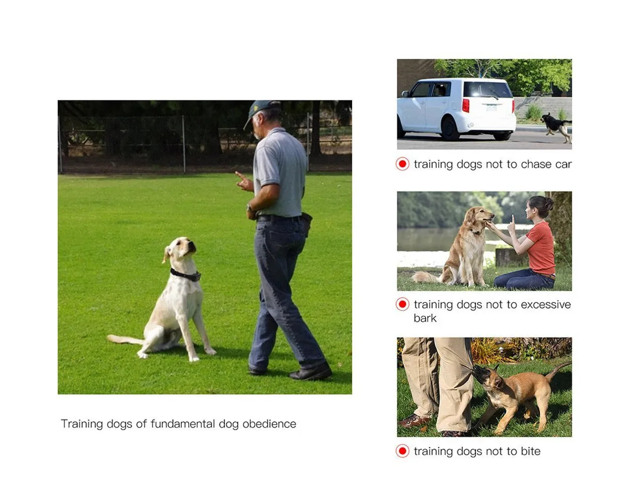 Waterproof Anti Bark Dog Collar with Rechargeable Remote and Receiver